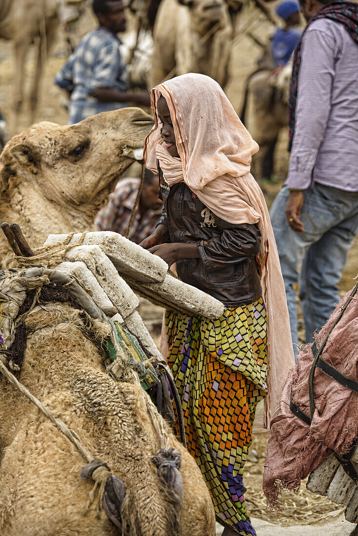 Afar girl loading salt on the camel caravans in the Danakil Depression, Ethiopia.