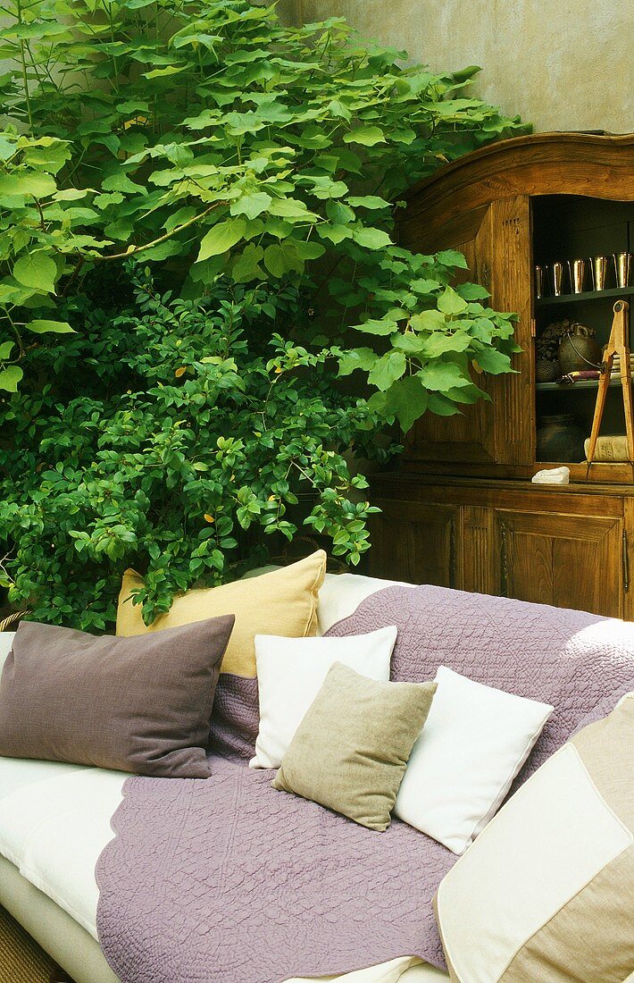 A sofa with with cushions in front of a large house plant