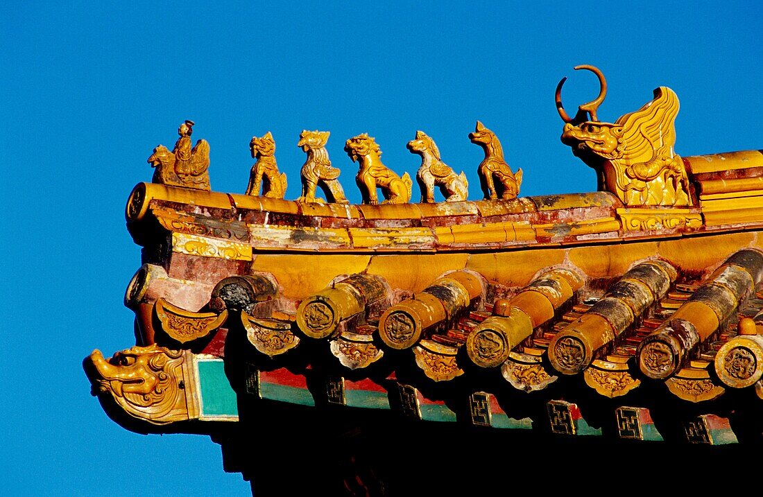 Roof detail at the Forbidden City Beijing China