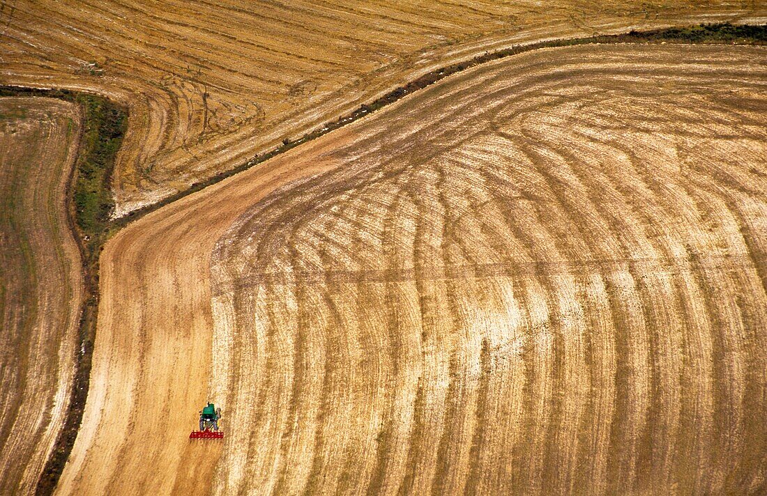 Fields of Melgosa de Villadiego  Burgos  Castile-Leon  Spain