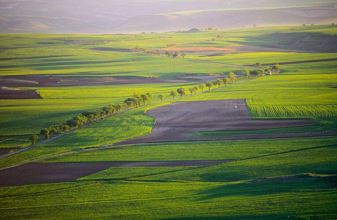 Farmlands, Bureba Region in the Way of Saint James, Burgos province, Castile-Leon, Spain.