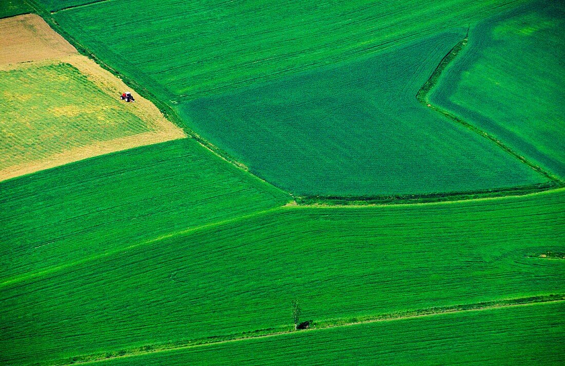 Aerial view of Villarcayo farmlands  Burgos  Castile-Leon  Spain