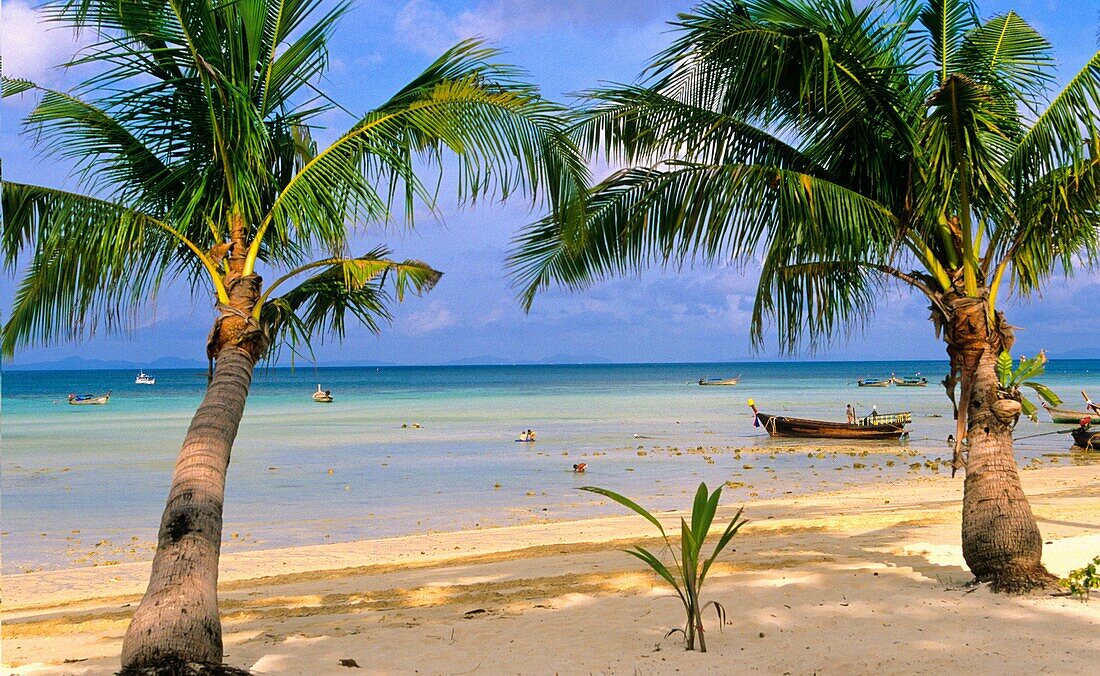 Laem Tom Beach  Ko Phi Phi Doni  Krabi province  Thailand