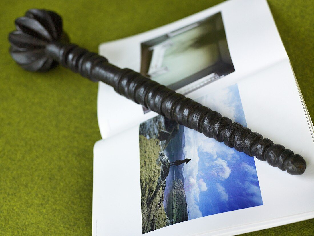 Turned walking stick and photo album on a green background
