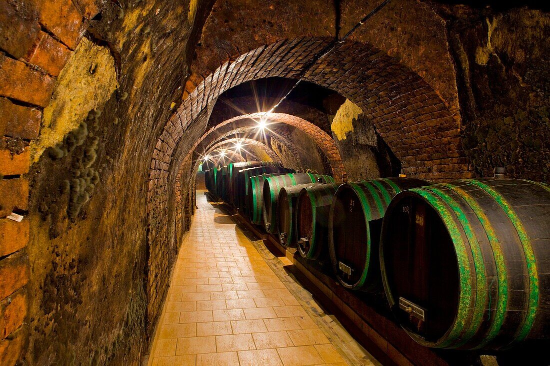 wine cellar, Jan Vanek Winery, Chvalovice, Czech Republic