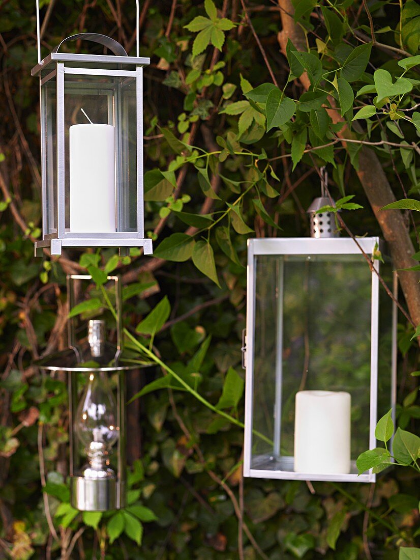 Lanterns with white candles hanging in a tree