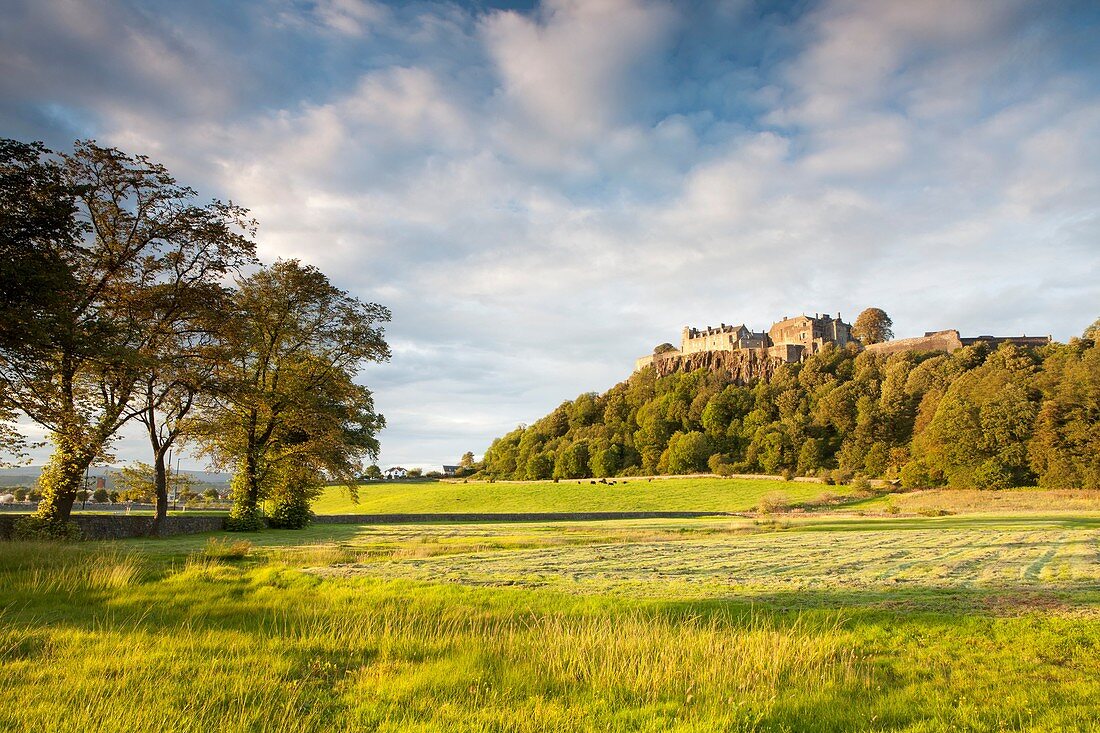 Castle of Wyns, Stirling, Scotland