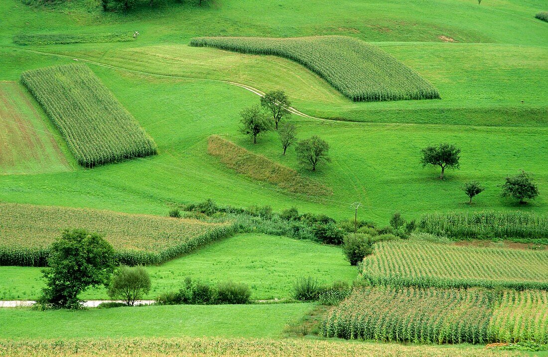 Crop fields around Rugaska Slatina