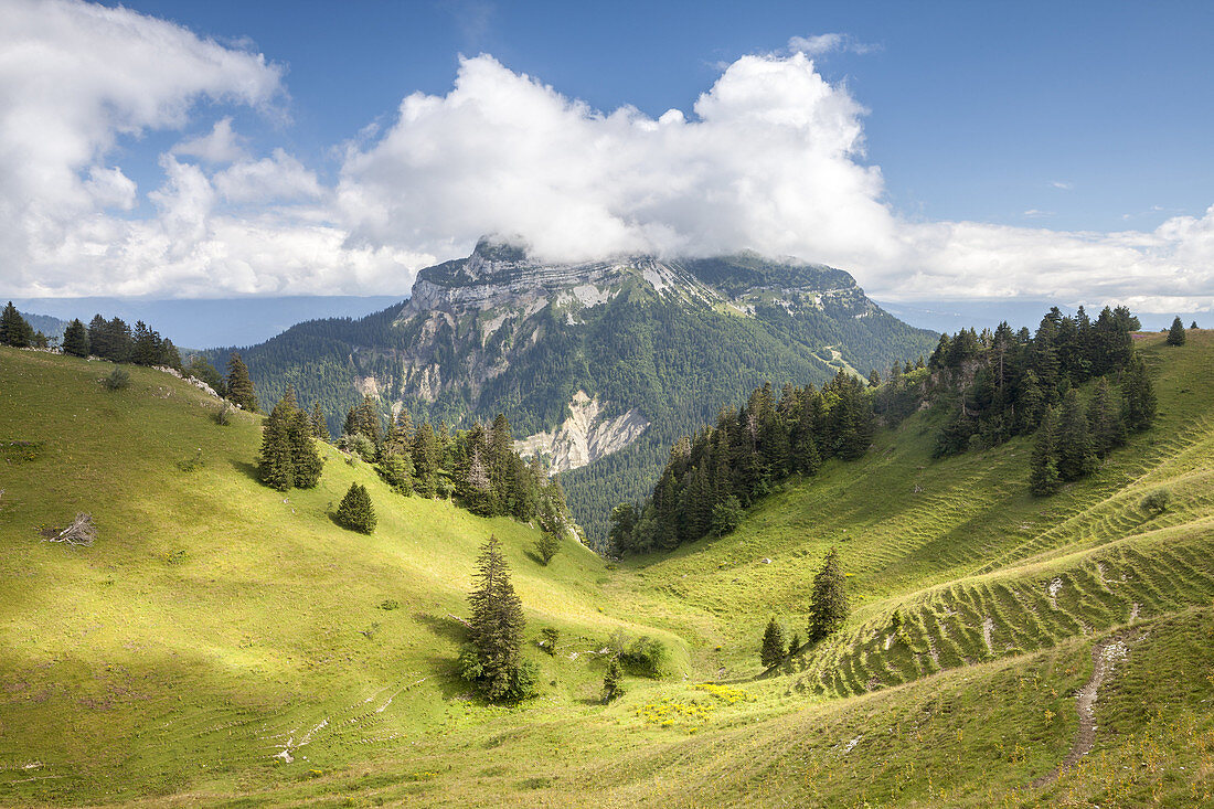 View of the Chamechaude peak, Parc Naturel de la Chartreuse, Isere, Rhône-Alpes, France.