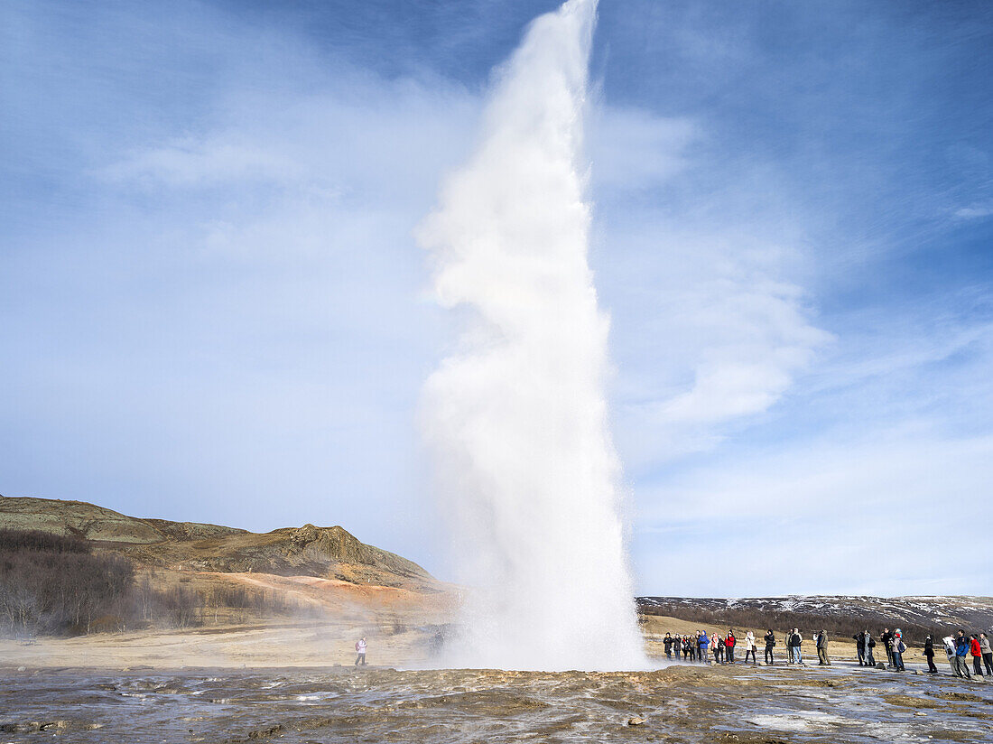 The geothermal area in Haukadalur during winter, part of the tourist route Golden Circle. The geysir Strokkur. europe, northern europe, scandinavia, iceland, March.