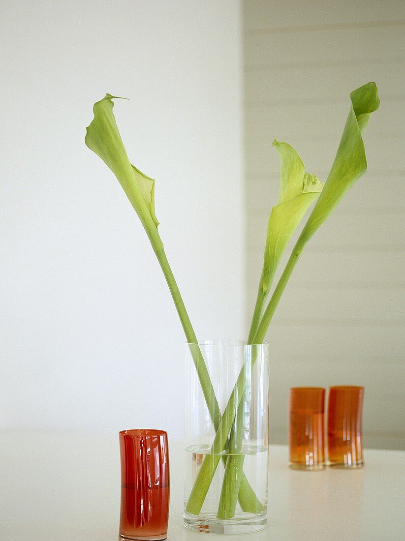 Glass vase with three furled leaves on shelf.