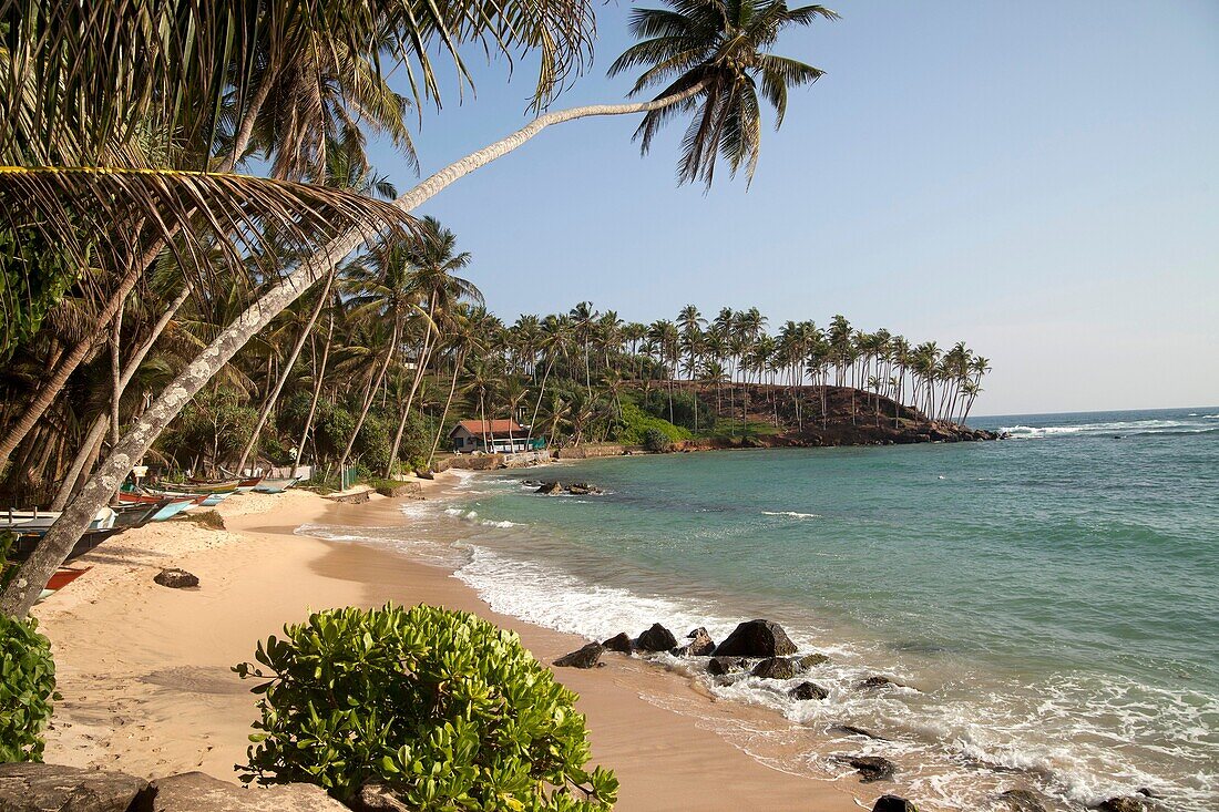 fishing boats at the dream beach in Mirissa, Sri Lanka