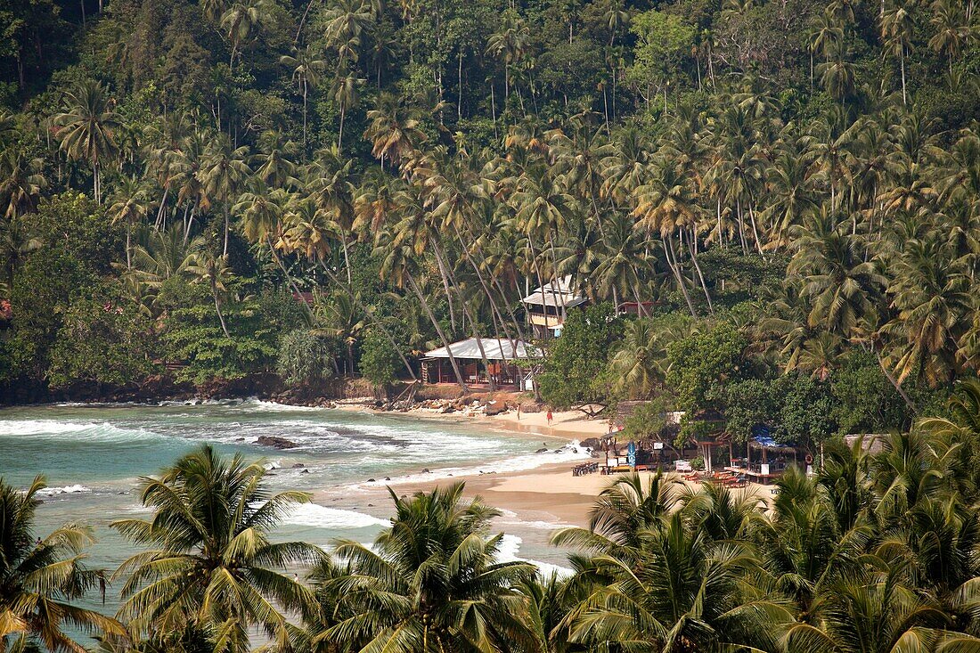 view to the beach in Mirissa from above, Sri Lanka