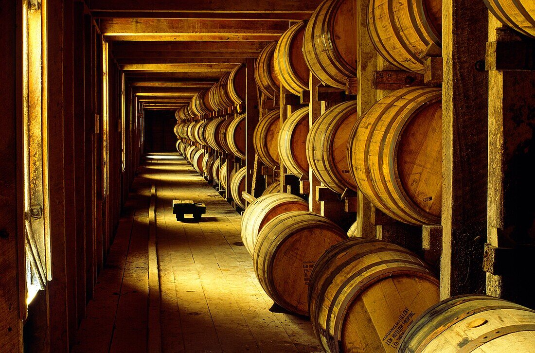 Jack Daniels whiskey whisky maturing in barrels in old store warehouse at the Lynchburg distillery, Tennessee, USA