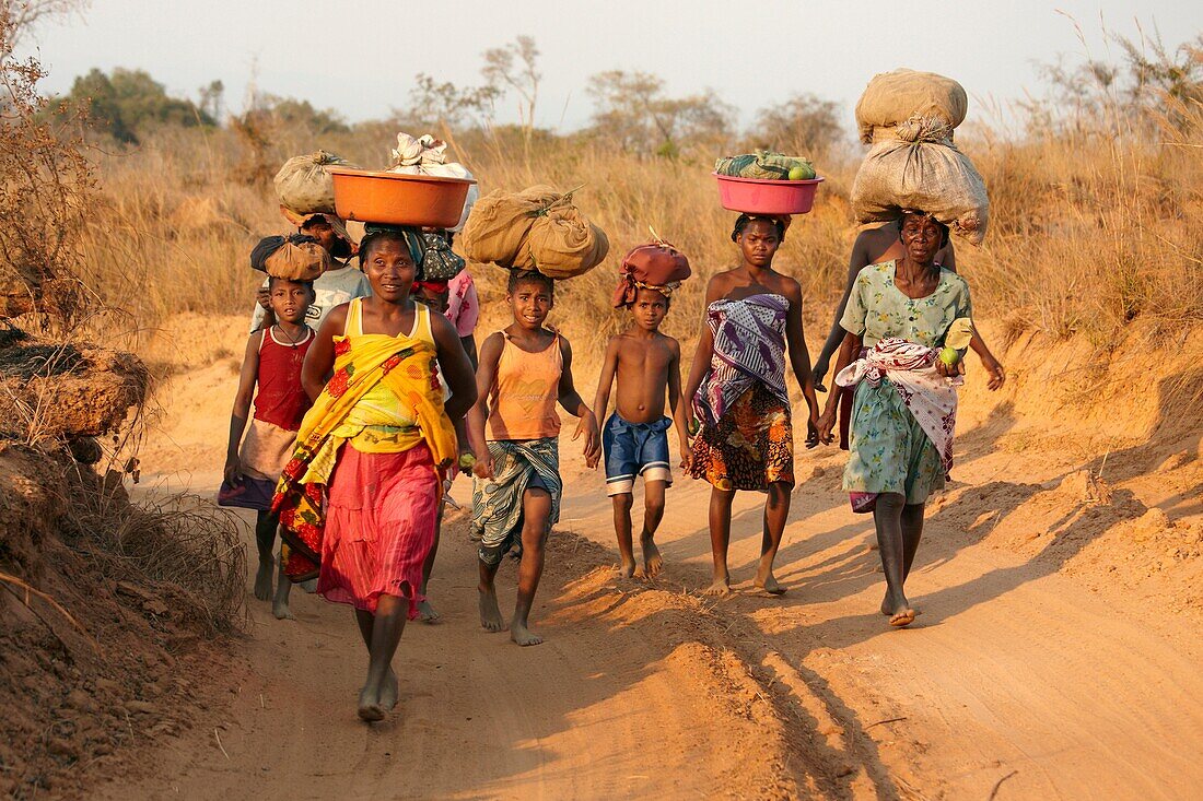 Women walking to Bekopaka, Toliara , Madagascar
