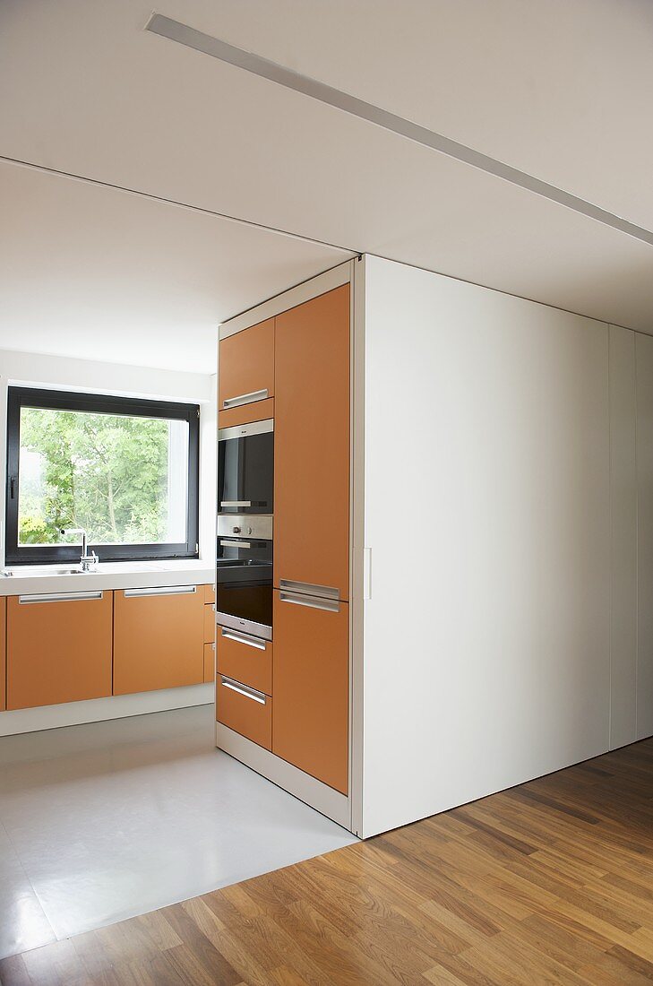 Modern kitchen with orange units