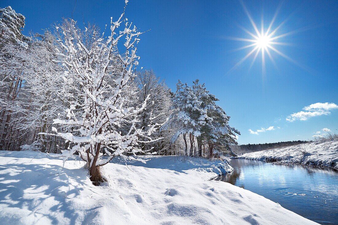 Winter landscape, Mazowsze region, Poland, Europe