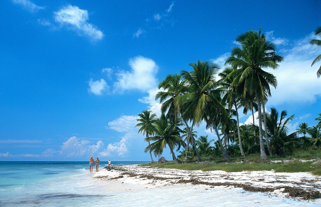 Couple walking on beach  Saona island, Dominican republic, Caribbean