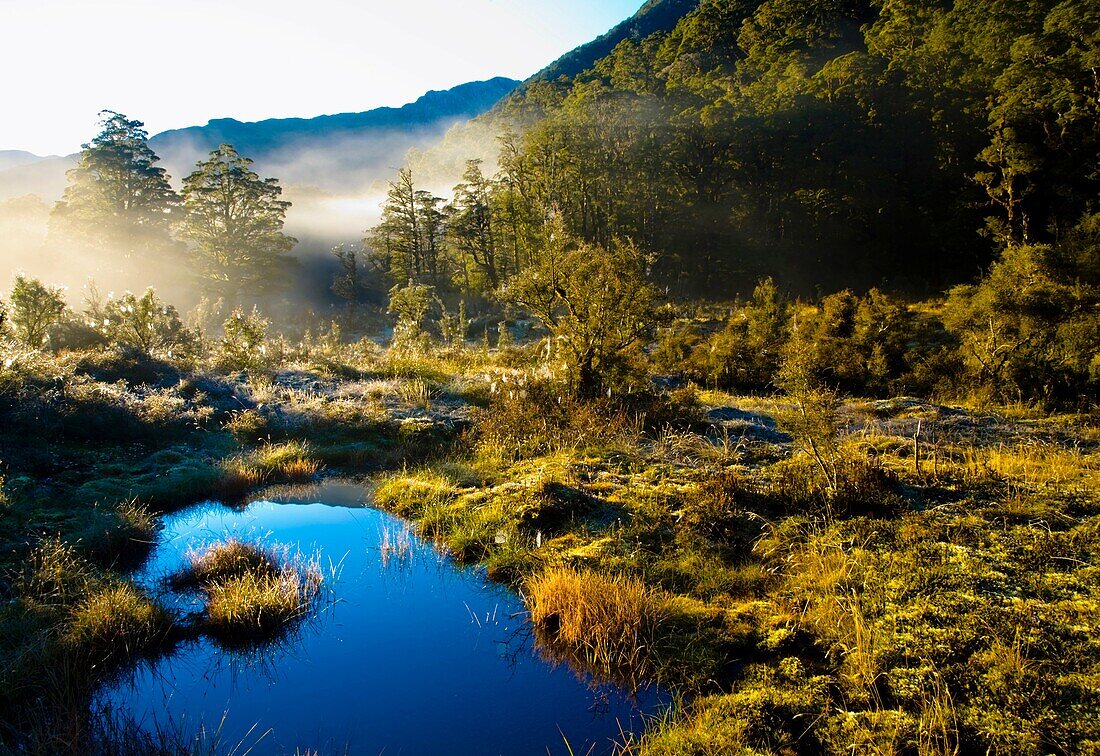 New Zealand, Southland, Fiordland National Park  Autumn mist rising from marshland near the Upper Spey hut on the Dusky Track