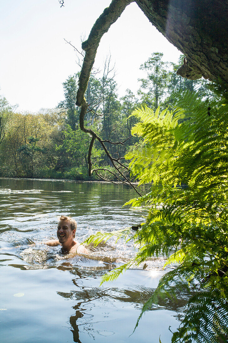 Junger Mann schwimmt im Fluss Wakenitz, entlang der ehemaligen innerdeutschen Grenze, auch Amazonas des Nordens genannt, Schleswig-Holstein,  Deutschland