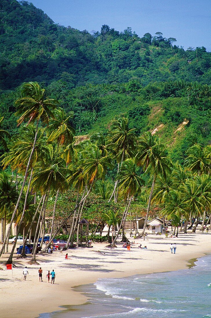 Caribbean, Trinidad, Maracas Bay, beach,