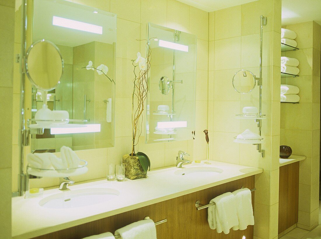 Twin washbasins set in unit with mirrors above