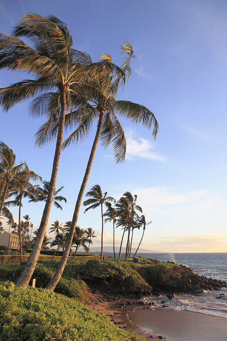 Hawaii, Maui, Wailea, beach,.