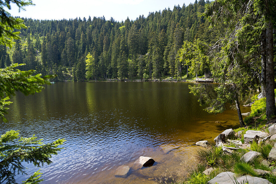 View over the Lake Mummelsee in the Black Forest, Germany.