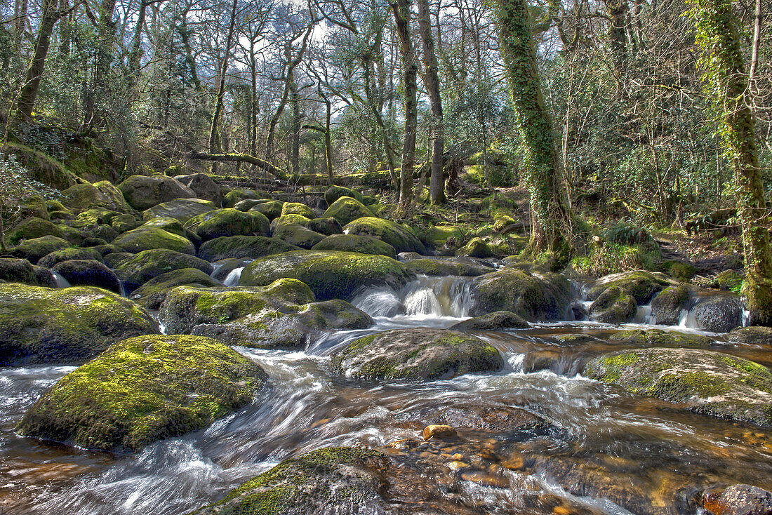 Becky Falls Woodland Park And Nature Trail, Also Known As Becka Falls, Manaton, Newton Abbott, Devon. Uk.