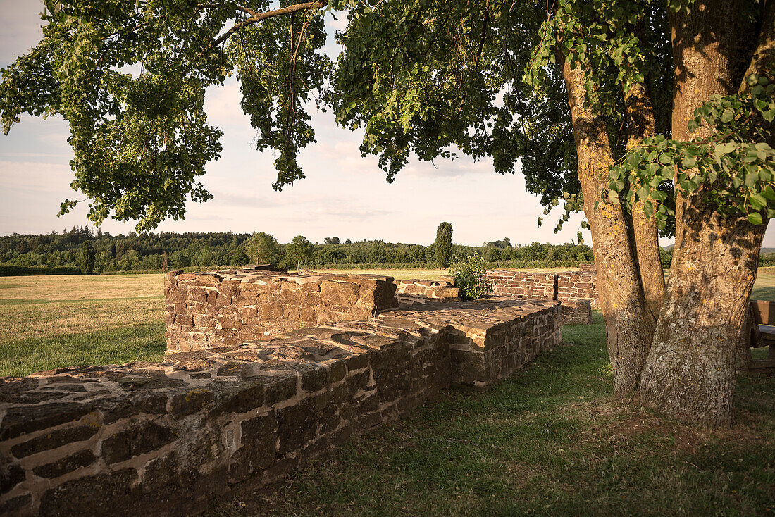 ruins of Roman buildings, Limes (border wall of Roman Empire) Park Rainau-Buch, Aalen, Ostalb province, Swabian Alb, Baden-Wuerttemberg, Germany, UNESCO world heritage site