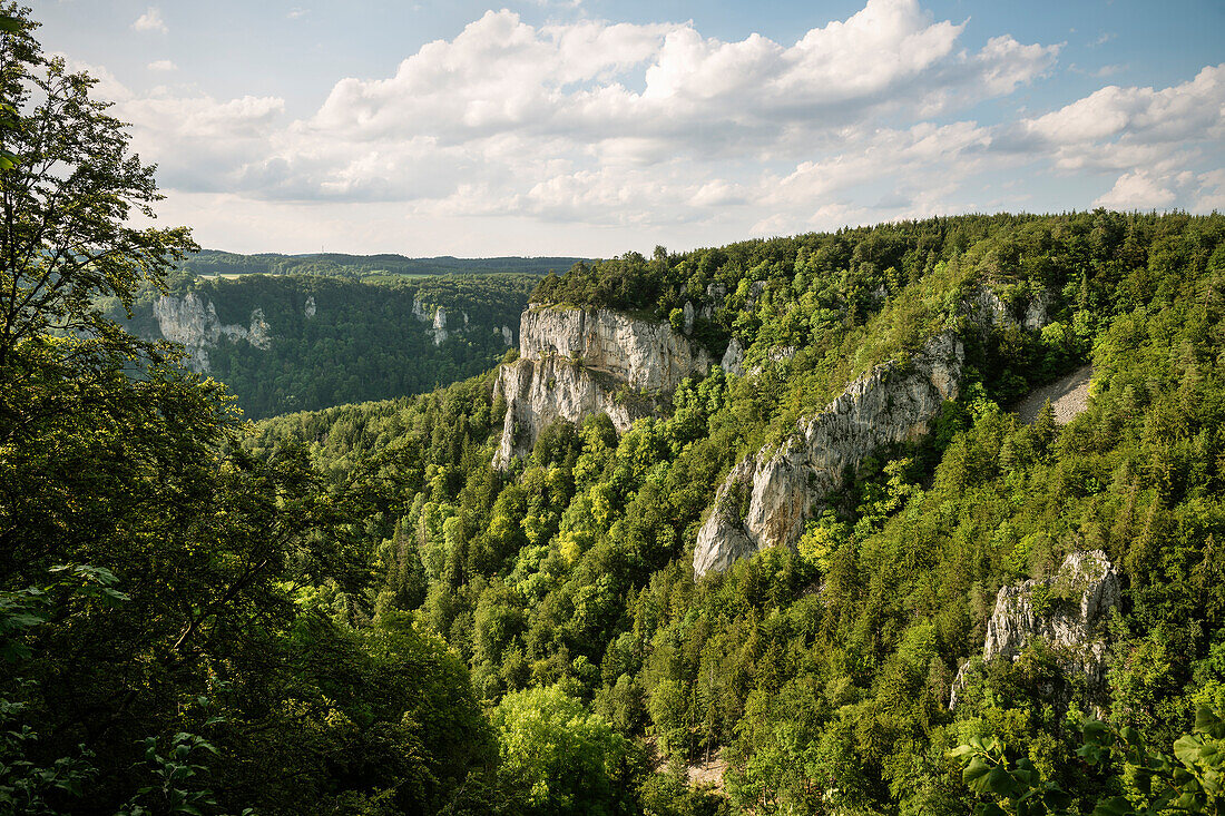 view towards forest and rock landscape in the Upper Danube Nature Park, Sigmaringen, Tuttlingen, Zollernalb, Biberach, Swabian Alb, Baden-Wuerttemberg, Germany
