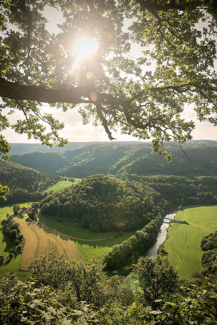 Blick ins Donautal im Gegenlicht von Burg Wildenstein, Naturpark Oberes Donautal, Landkreis Sigmaringen, Tuttlingen, Zollernalb, Biberach, Schwäbische Alb, Baden-Württemberg, Deutschland