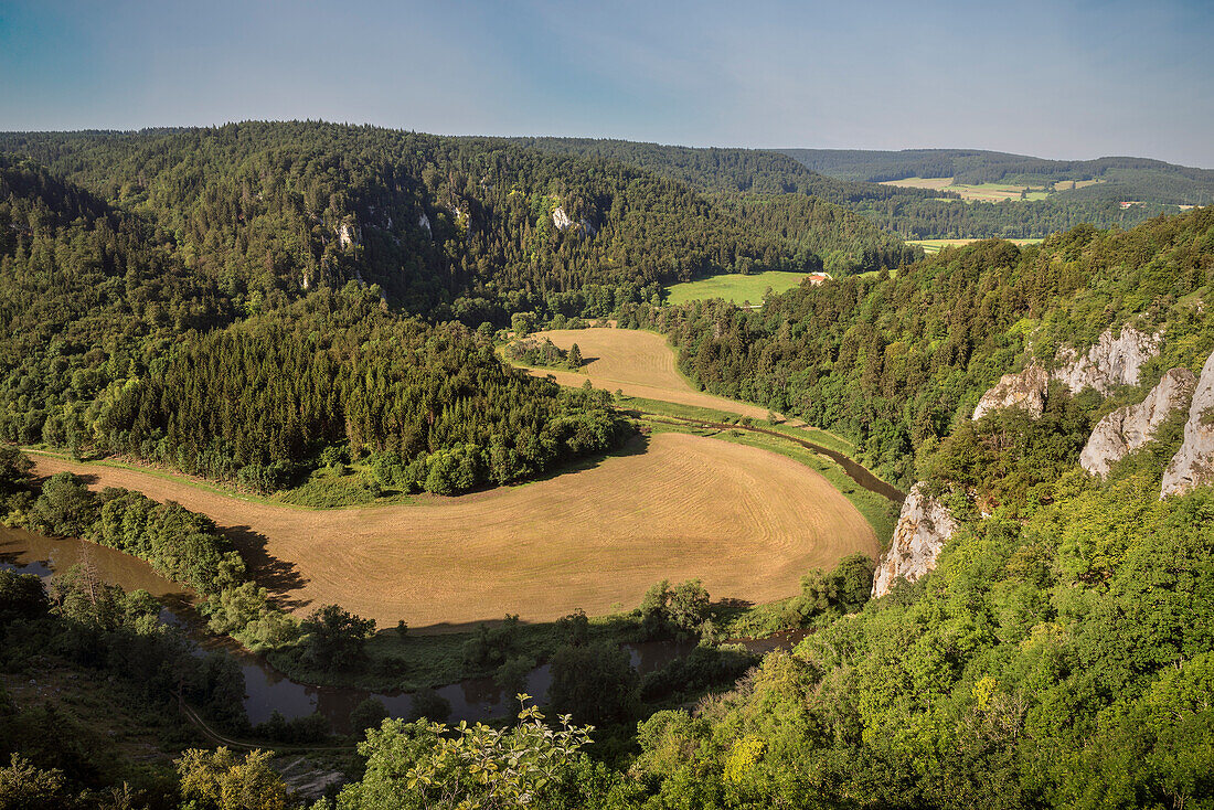 The young Danube river flowing along the rocky Danube River Valley, Upper Danube Nature Park, Sigmaringen, Tuttlingen, Zollernalb, Biberach, Swabian Alb, Baden-Wuerttemberg, Germany