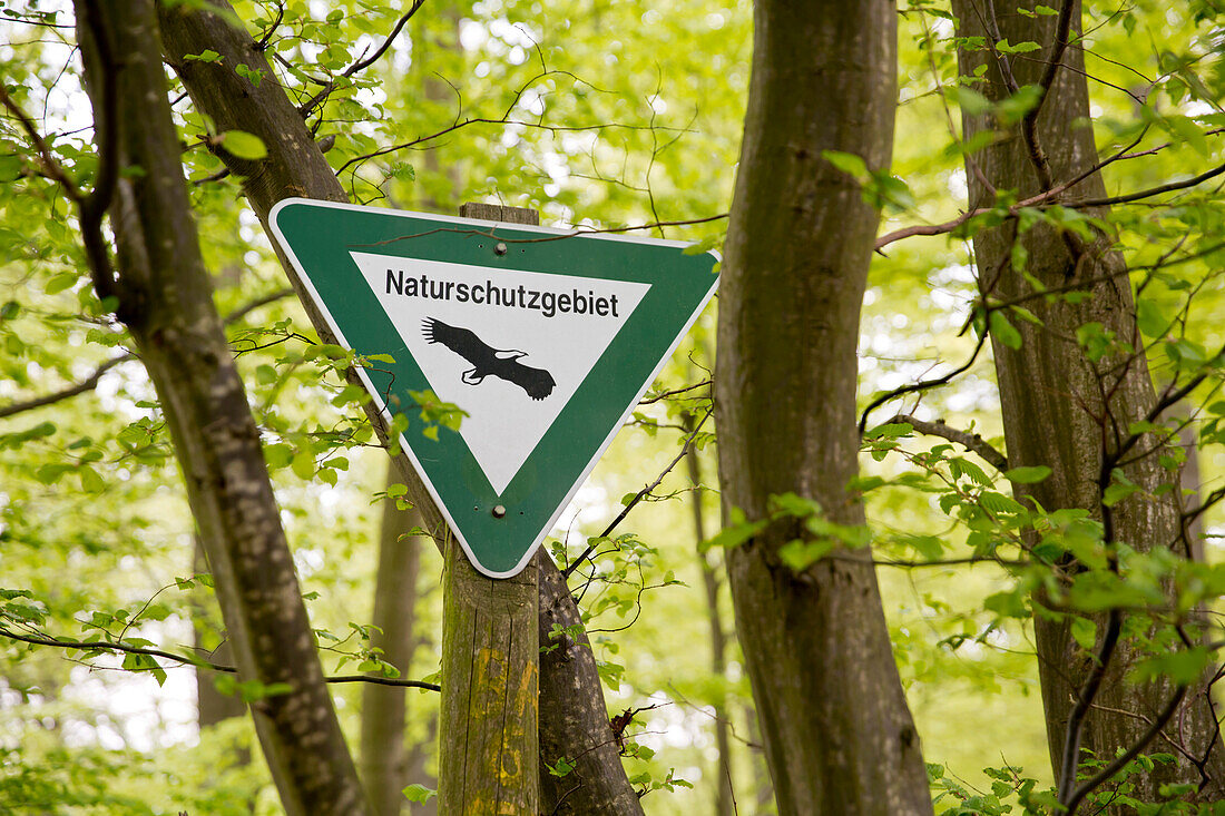 Naturschutzgebiet sign in the forest marking the nature reserve near Bringhausen in Kellerwald-Edersee National Park, Lake Edersee, Hesse, Germany, Europe