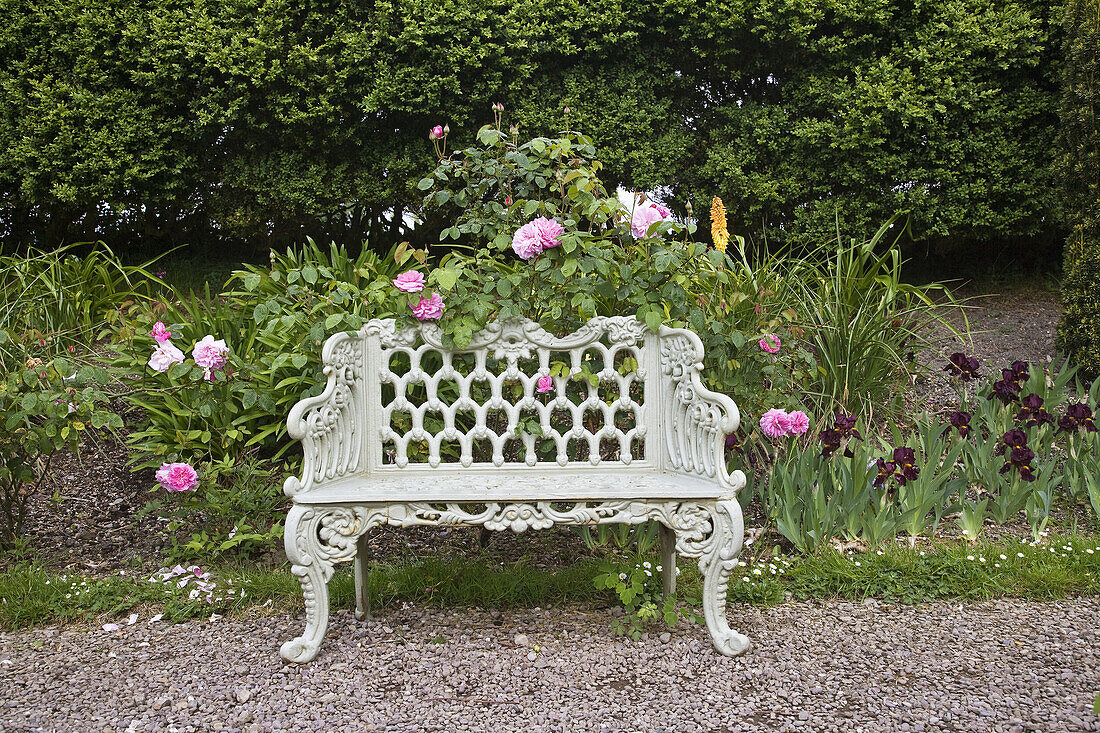 Iron wrought park bench in Bantry House, Ireland,V04-752215 - © - Hoffmann Photography