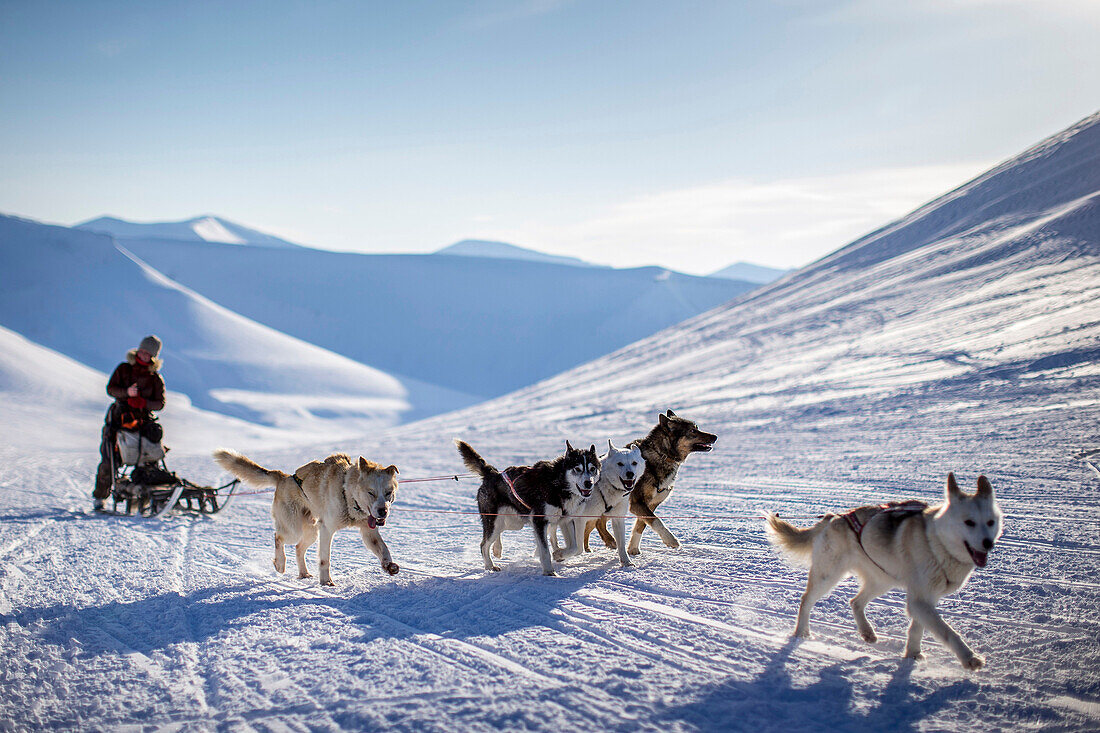 Hundeschlitten im Winter auf Spitzbergen, Svalbard, Norwegen
