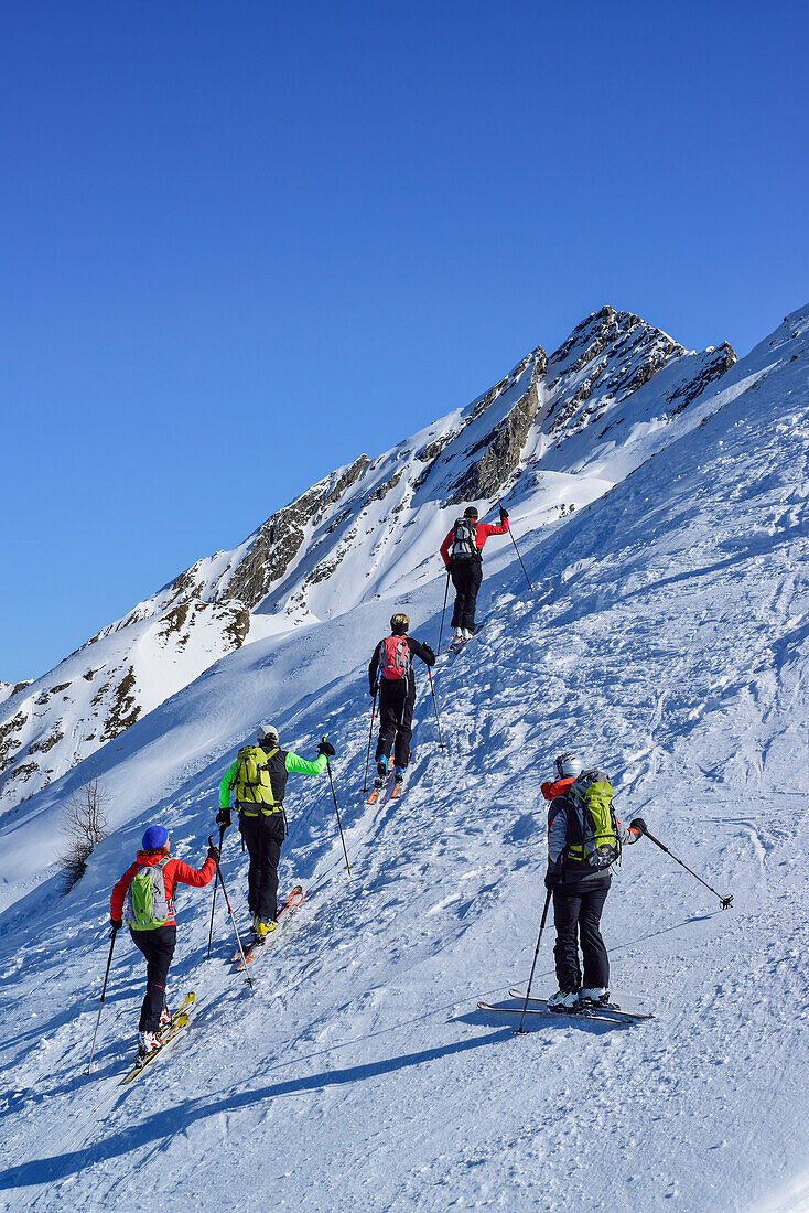 Mehrere Personen auf Skitour steigen zur Gammerspitze auf, Gammerspitze, Schmirntal, Zillertaler Alpen, Tirol, Österreich