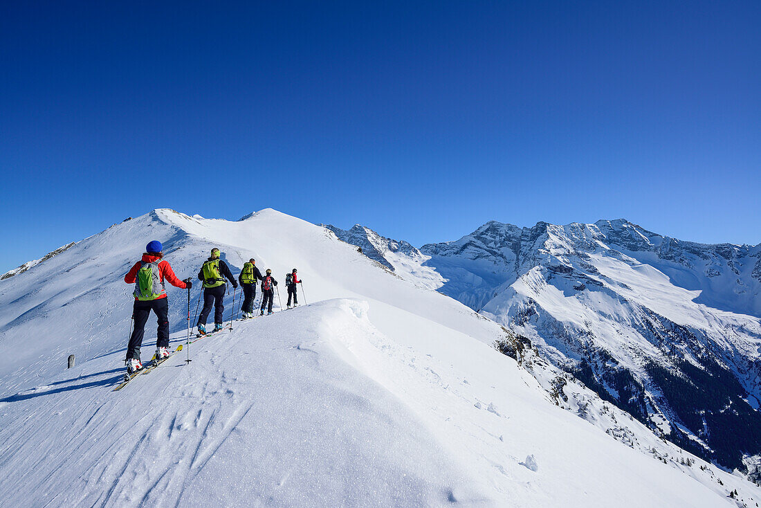 Several persons back-country skiing ascending towards Gammerspitze, Zillertal Alps in background, Gammerspitze, valley of Schmirn, Zillertal Alps, Tyrol, Austria