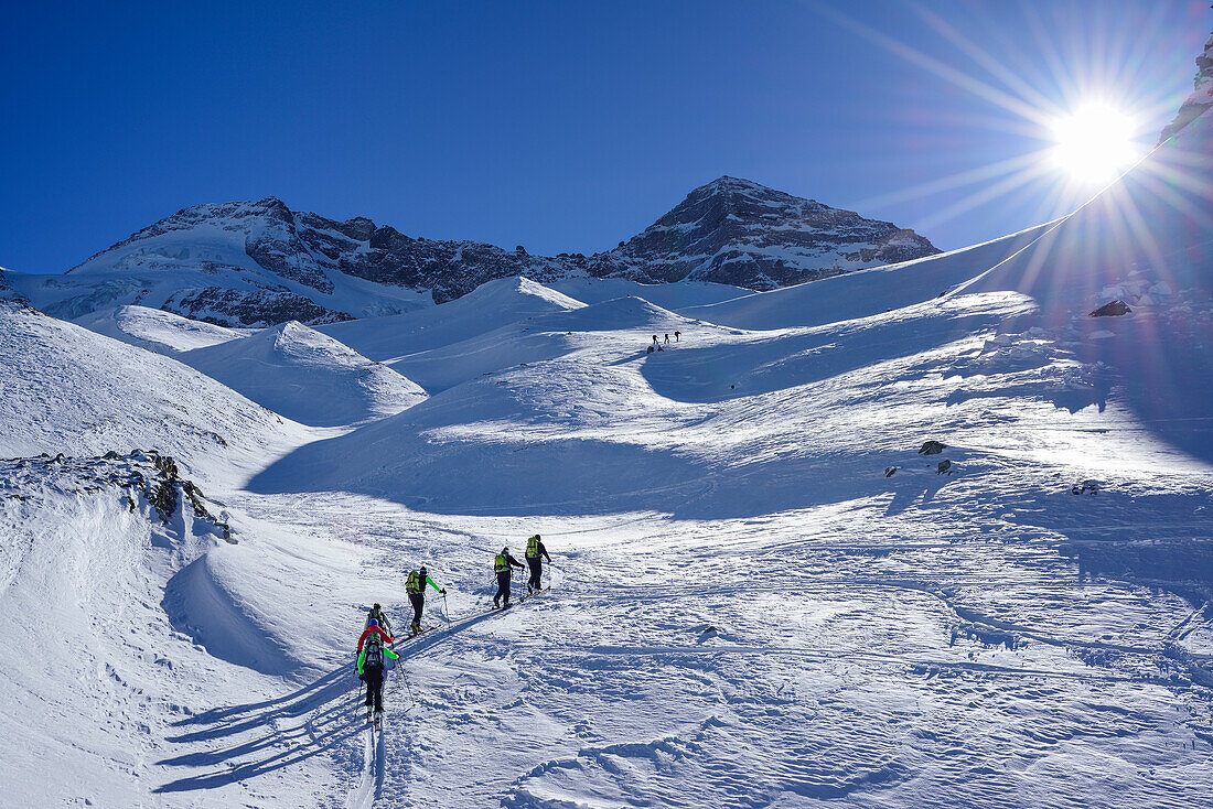 Several persons back-country skiing ascending towards Kleiner Kaserer, Olperer in the background, Kleiner Kaserer, valley of Schmirn, Zillertal Alps, Tyrol, Austria