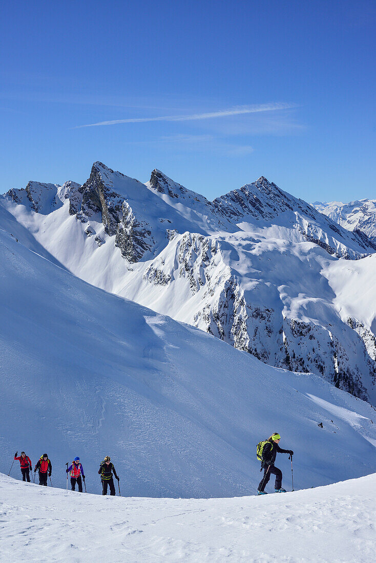 Several persons back-country skiing ascending towards Frauenwand, Frauenwand, valley of Schmirn, Zillertal Alps, Tyrol, Austria