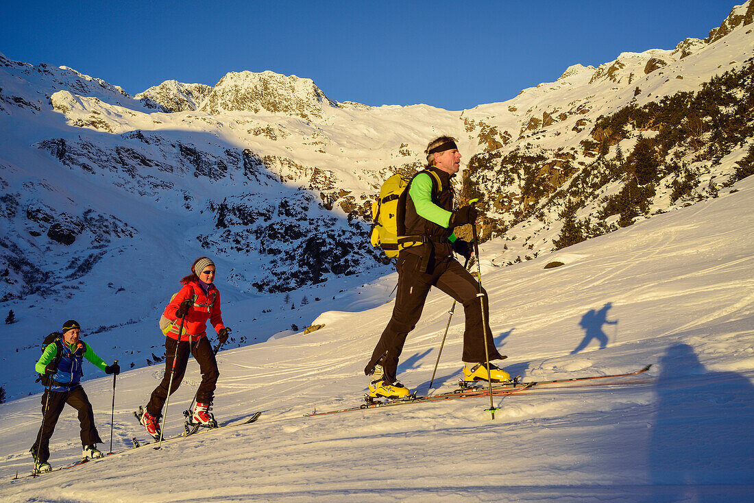 Drei Personen auf Skitour steigen zur Schneespitze auf, Schneespitze, Pflerschtal, Stubaier Alpen, Südtirol, Italien