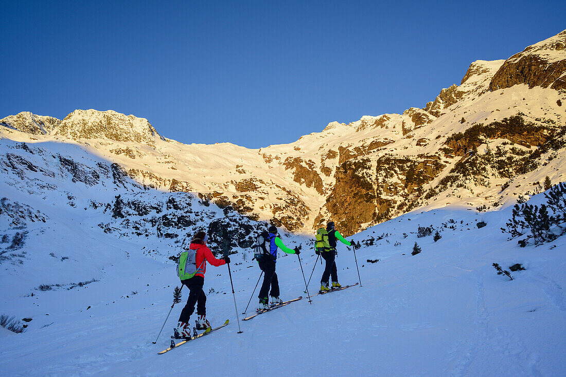 Three persons back-country skiing ascending towards Schneespitze, Schneespitze, valley of Pflersch, Stubai Alps, South Tyrol, Italy