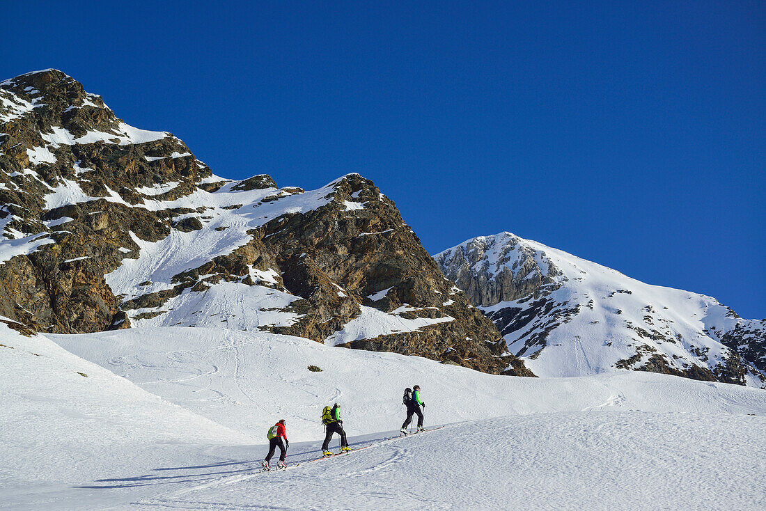 Drei Personen auf Skitour steigen zur Schneespitze auf, Schneespitze, Pflerschtal, Stubaier Alpen, Südtirol, Italien
