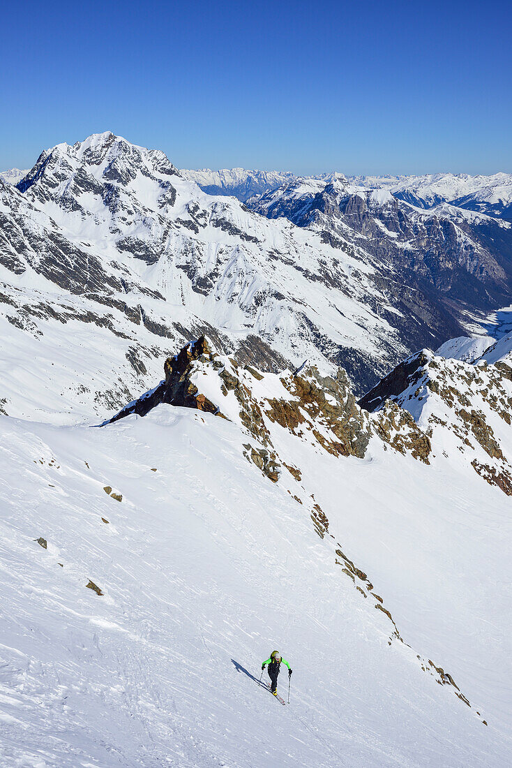 Man back-country skiing ascending towards Schneespitze, Habicht in the background, Schneespitze, valley of Pflersch, Stubai Alps, South Tyrol, Italy