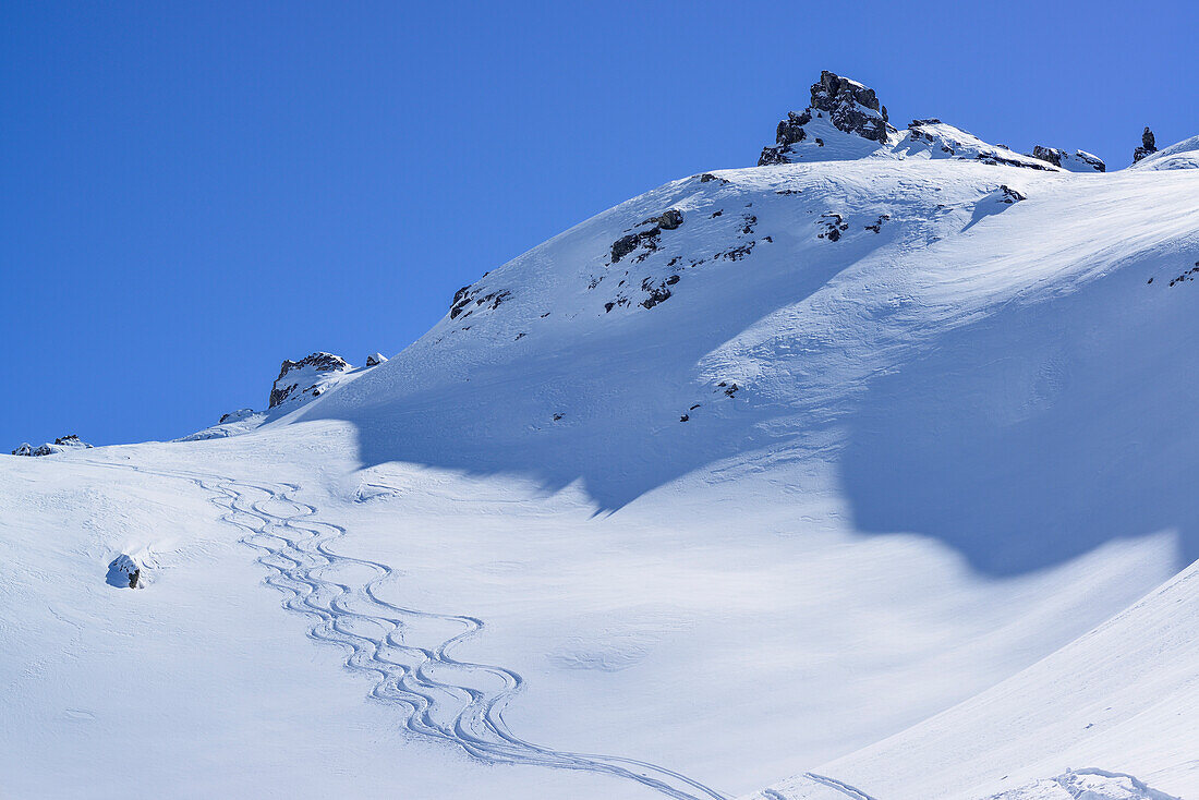 Abfahrtsspuren im Valle di Stroppia, Valle Maira, Cottische Alpen, Piemont, Italien