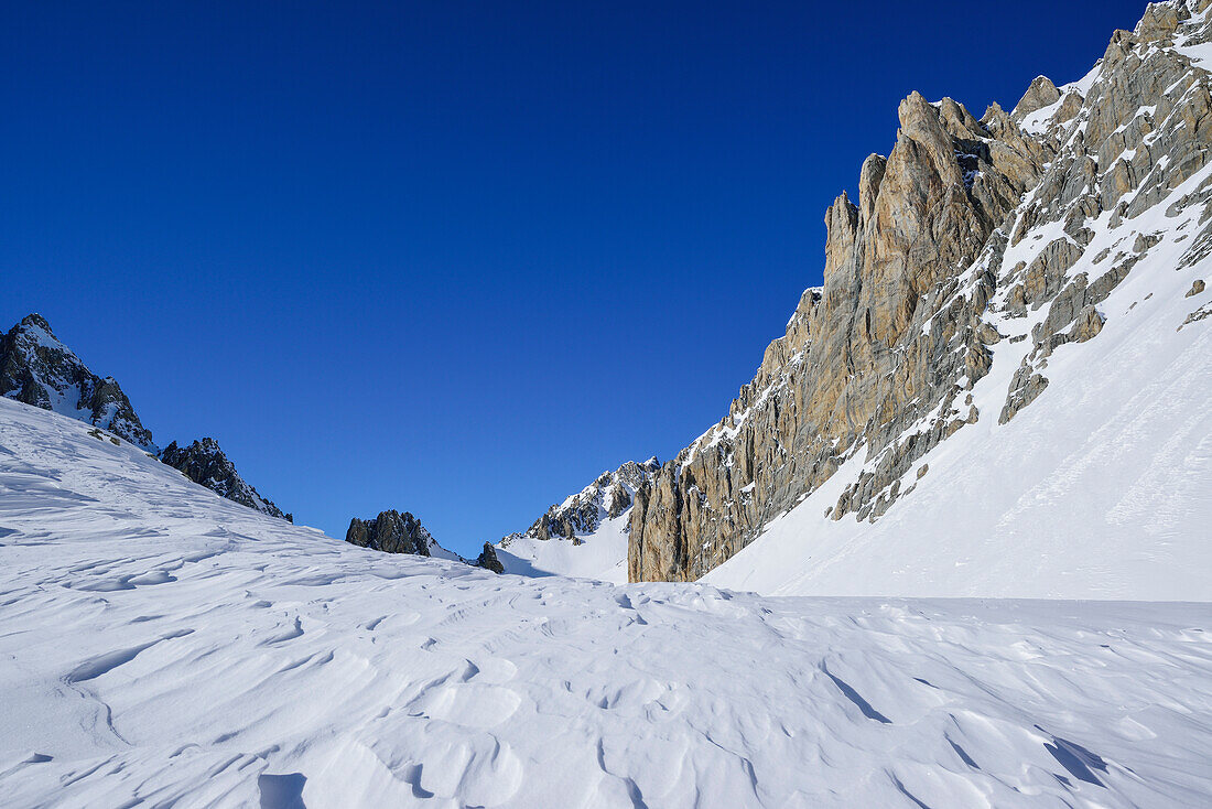 Windgangeln vor Felswänden des Monte Sautron, Valle Maira, Cottische Alpen, Piemont, Italien