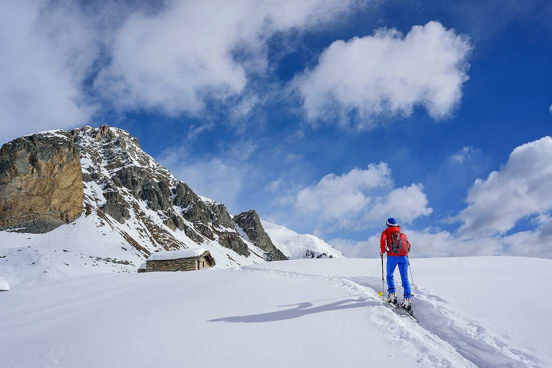 Woman back-country skiing walking towards snow-covered alpine hut, Rocca Senghi in the background, Monte Faraut, Valle Varaita, Cottian Alps, Piedmont, Italy
