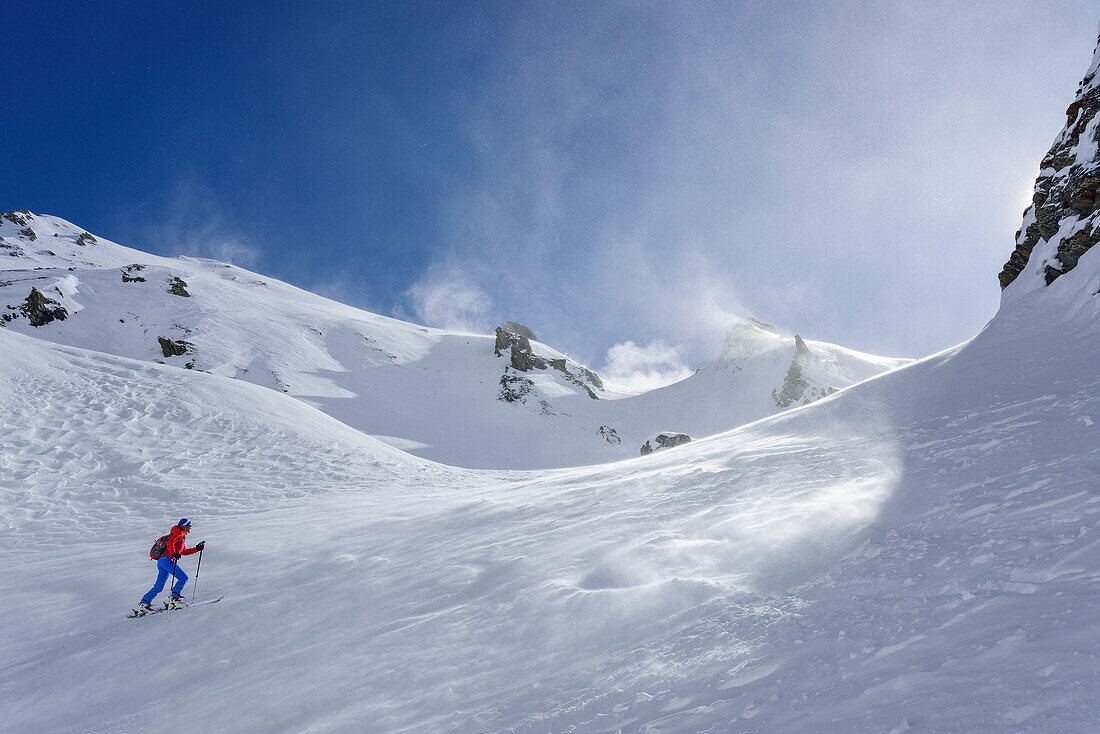 Woman back-country skiing ascending towards Monte Faraut, Monte Faraut, Valle Varaita, Cottian Alps, Piedmont, Italy