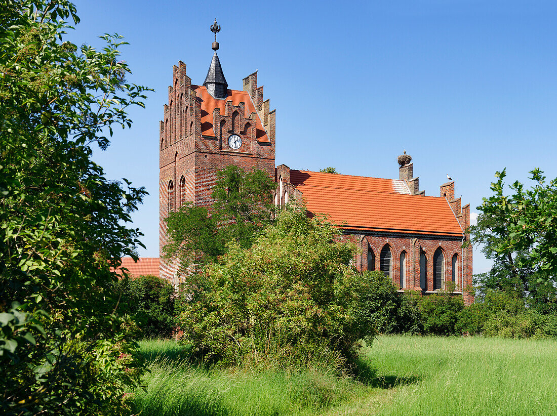 Störche auf der Kirche in Linum, Land Brandenburg, Deutschland