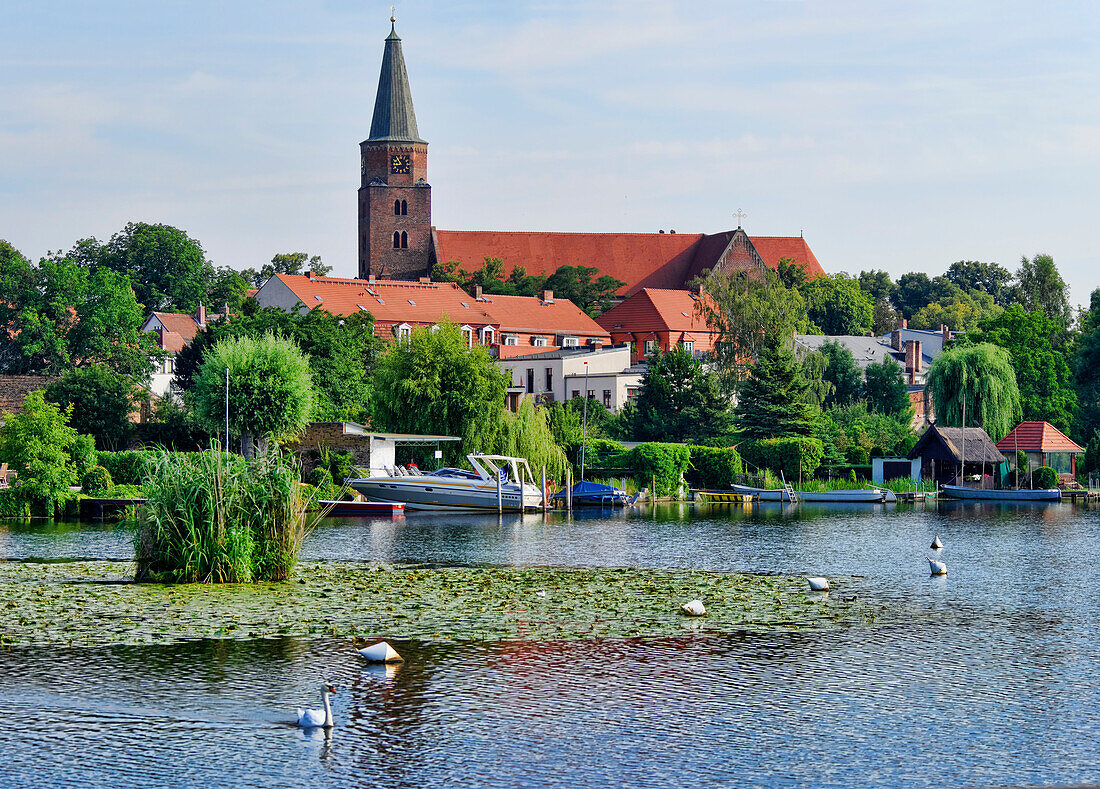 View over the Havel to the Island with Cathedral of St. Peter and Paul, Brandenburg an der Havel, Brandenburg, Germany